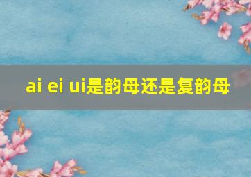 ai ei ui是韵母还是复韵母